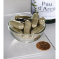 SWANSON Pau darco 500mg - (100 kap)