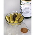 Swanson Full Spectrum Turmeric, Astragalus & Gotu Kola Complex - (60 kap)
