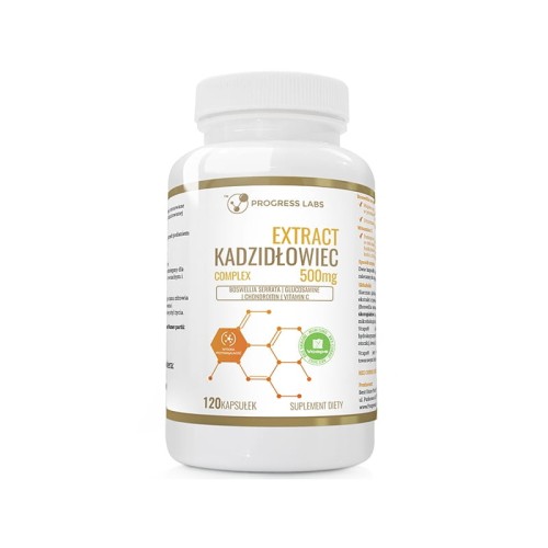 Progress Labs Kadzidłowiec Ekstrakt 500mg Glukozamina Chondroityna (120 kap)