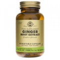 Solgar Imbir Lekarski ekstrakt z kłącza Ginger root  ( 60 kap)