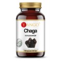 YANGO Chaga - ekstrakt 10% polisacharydów  (90 kap)