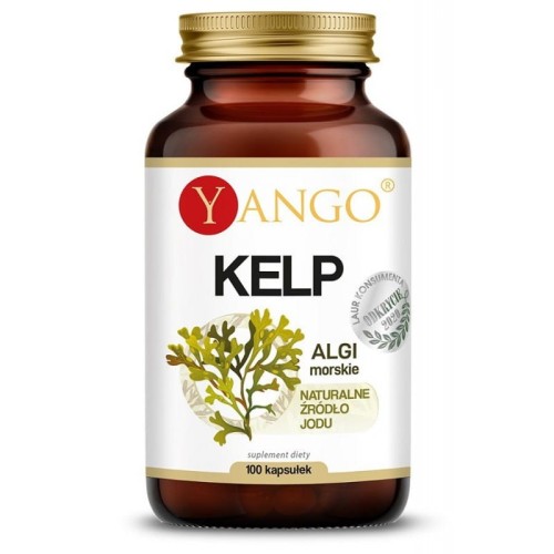 YANGO KELP ( 100 kap)