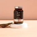 YANGO Panaseus Libido ♂  (50 kap)