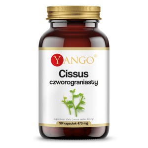 YANGO Cissus czworogroniasty 470mg (90 kap)