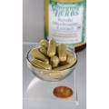 Swanson Reishi Mushroom Extract 500mg - (90 kap)
