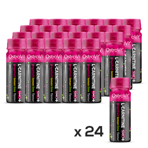 OstroVit L-carnitine SHOT (80 ml x24szt) Karnityna