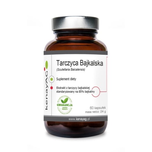 Kenay Tarczyca Bajkalska (60 kap)