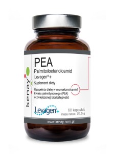 Kenay PEA Palmitoiloetanoloamid Levagen® (60kap)