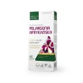Medica Herbs Pelargonia afrykańska 450mg (60kap)