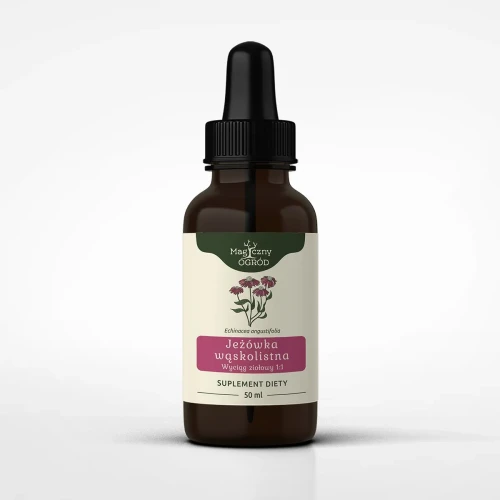 Magiczny Ogród Echinacea angustifolia nalewka 1:1 (50 ml)