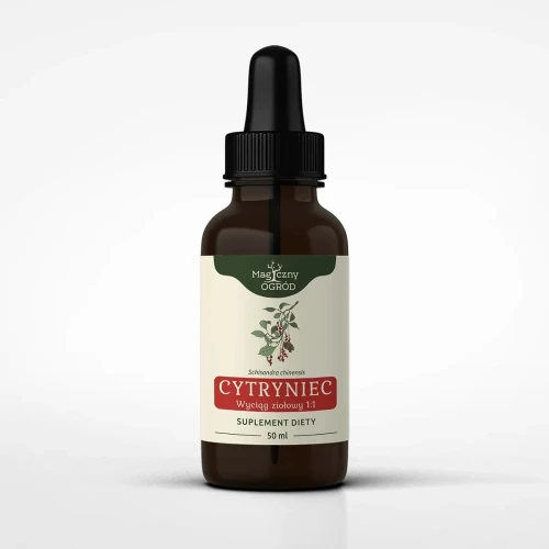 Magiczny Ogród Cytryniec chiński nalewka 1:1 (50ml)