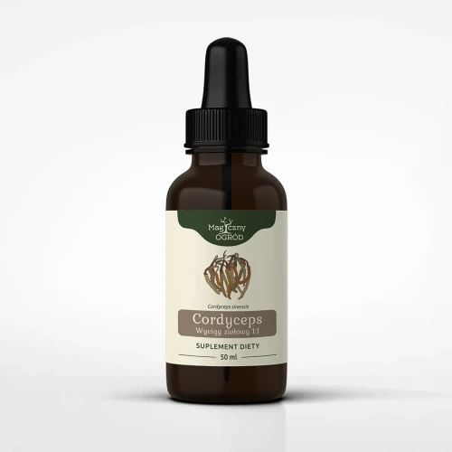 Magiczny Ogród Cordyceps nalewka 1:1 (50ml)