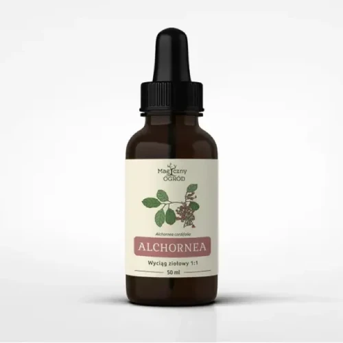 Magiczny Ogród Alchornea cordifolia nalewka 1:1 (50ml)