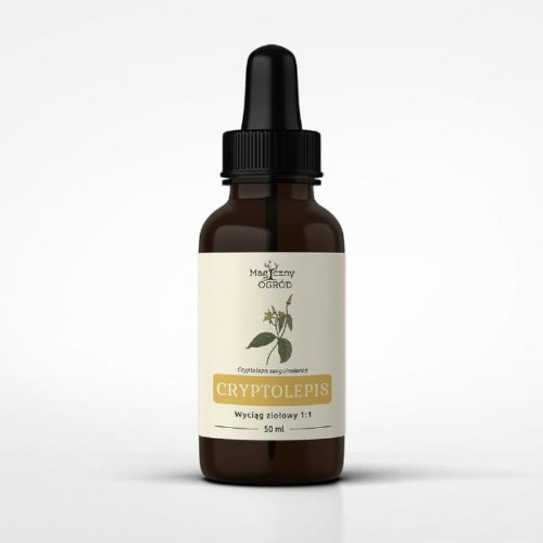 Magiczny Ogród Cryptolepis sanguinolenta nalewka 1:1 (50ml)