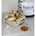 Swanson Yucca 500mg - (100 kap)