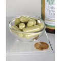 Swanson Tribulus Terrestris Extract 500mg - (60 kap)