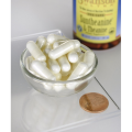 Swanson L-Teanina Suntheanine 100mg - (60 kap)