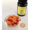 Swanson Koenzym Q10 100mg - (100 kap)
